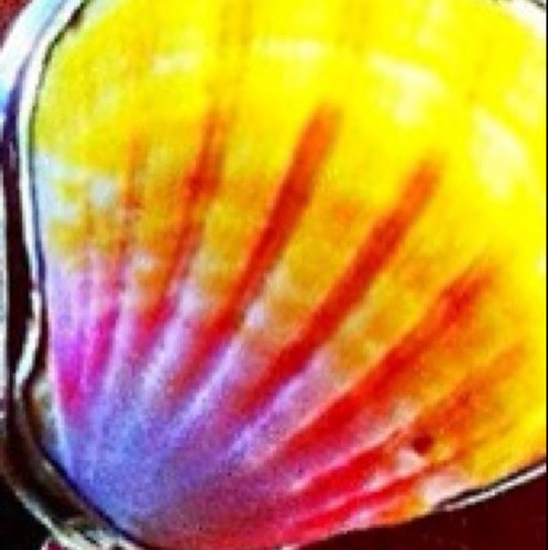 My name is Angela Jade! I am a Designer. Muse. Seamstress. Artist. Mother. Coffee Drinker. http://t.co/kGFQUVzG