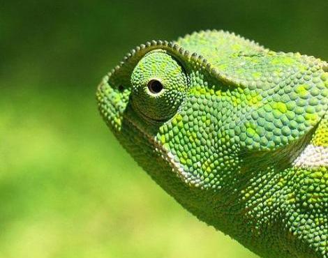 driving better business outcomes through network evolution