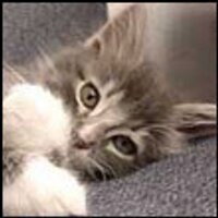 faqejabyva (@faqejabyva) 's Twitter Profile