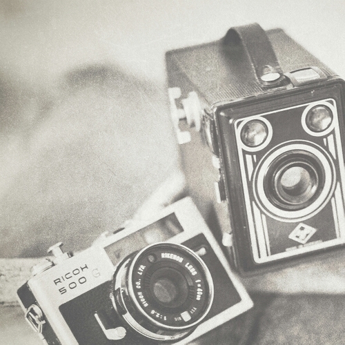 AvaJansen's profile picture. 