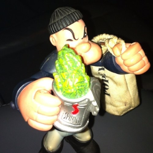 SpinachFreak's profile picture. 