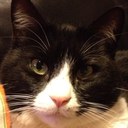 Jackie Dickinson - @Tobytort - Twitter