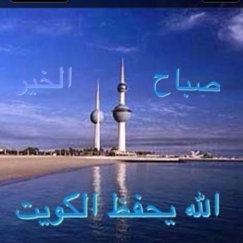 ALAxpjAMAL's profile picture. 