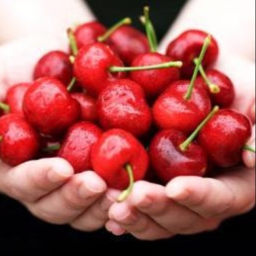 Cherry__Twist's profile picture. Люблю вишенки