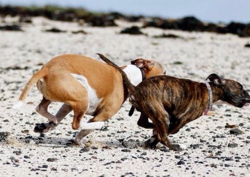 PaulioLS's profile picture. 