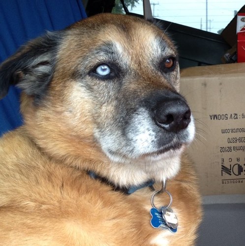 king012345's profile picture. 