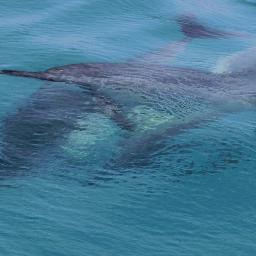 reya360's profile picture. 