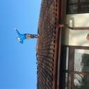 chris parkinson - @chrisparkinson0 - Twitter