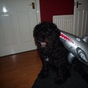 terry mcandrew - @tmacblyth - Twitter