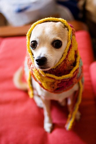 jochenq's profile picture. 