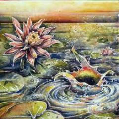 BALNEOANA's profile picture. 