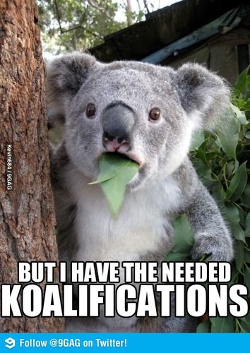 Apachenonimous's profile picture. 