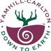 Yamhill-Carlton AVA (@yamhillcarlton) Twitter profile photo