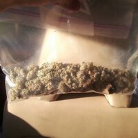 Justin Robert Briggs (@thejustinbriggs) 's Twitter Profile