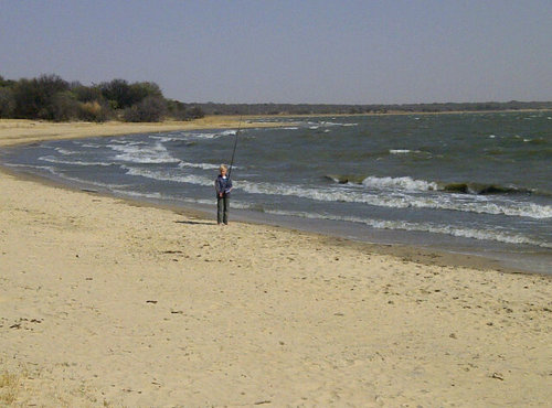 Aluvani's profile picture. Love knowing what's going on in the world - especially SA and rest of Africa. Can't stand politicians and don't follow them.