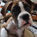 Crystal Stine - @Summababy85 - Twitter