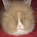 Jan Keller - @pflsume - Twitter