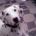 Alison.Jasper - @alison_jasperu - Twitter