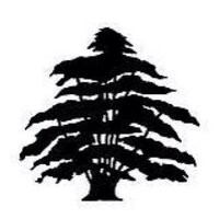 Birstall Village CC (@bvillagecc) 's Twitter Profile