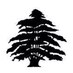 Birstall Village CC (@bvillagecc) Twitter profile photo
