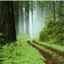 zoe wolf - @javiongoins - Twitter