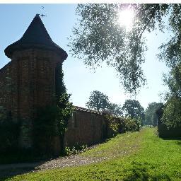 secretflowergdn's profile picture. Transforming an empty walled garden into cut flower heaven.