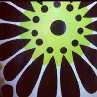 shaproch (@shaproch) 's Twitter Profile