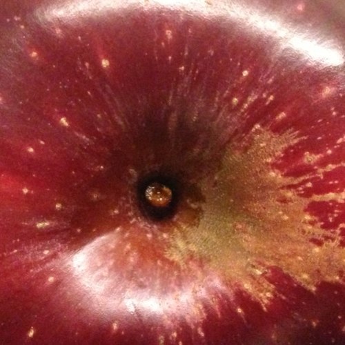 palomitacp's profile picture. Amena. Miro el cielo. Huelo las cosas. Cocino. Y además MFyC 🇪🇸 es de TODOS