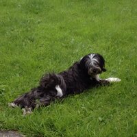 Aoibheann Leeney (@analienhoneybee) 's Twitter Profile