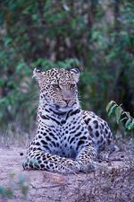 Floria_guzzie7's profile picture. 