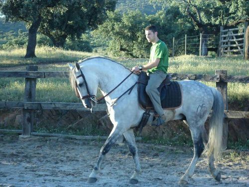 andres18mp's profile picture. Estudiante de ADE en la universidad de Plasencia Garciaz, Extremadura, España