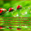 Brenda Lam - @brendalam_3 - Twitter