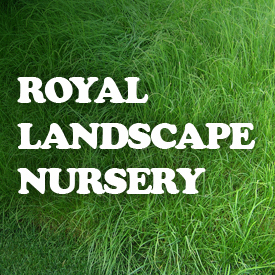 Royal Landscape Nursery provides commercial landscaping and maintenance to corporate developments and neighborhood associations.