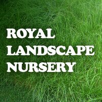 Royal Landscape Nrsy (@royalplants) Twitter profile photo