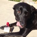 Dave Nixon - @nixondave - Twitter