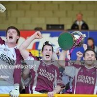 CastletownGAAClub (@castletowngaa) 's Twitter Profile