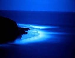 mkm55hotmailcom's profile picture. 