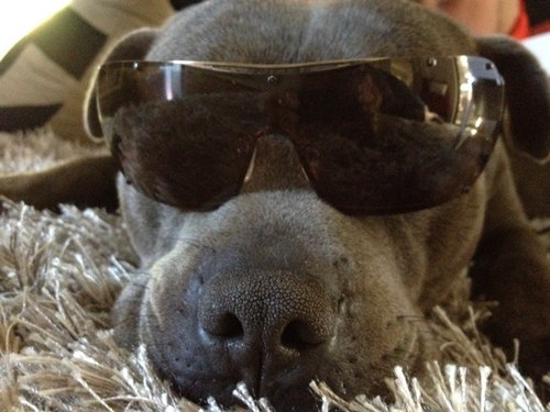 stoneyhk's profile picture. 