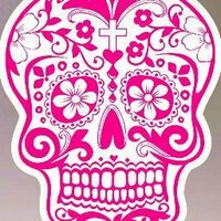 Pink Taco (@pinktaco) 's Twitter Profile