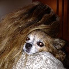 beebs937's profile picture. 