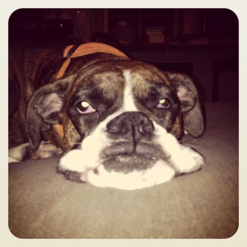 ajoscherrios's profile picture. Enjoy your music.