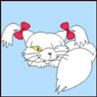 mecadere (@mecadere) 's Twitter Profile