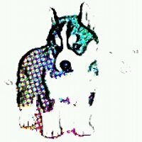 toshiyuki (@eikoun) 's Twitter Profile Photo