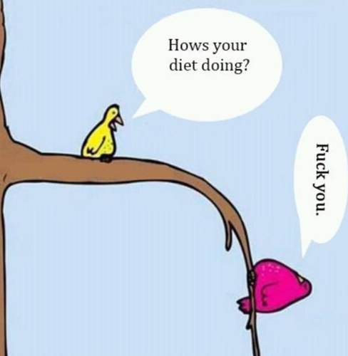 ZimStead's profile picture. An agronomist, committed to sustainable agriculture whilst implementing new strategies and processes.Loves sport, a good beer, my wife and family.