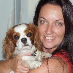 I am a freelance graphic designer based on the far north coast of NSW whose loyal office assistant is Ella the Cavalier King Charles.