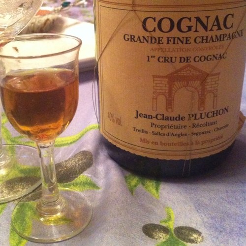 PaulinTurcotte's profile picture. 