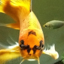 JulianThacker's profile picture. Builder maker boats hi rise buildings software hardware designer coder COBOL CPM Linux java arduino interests sailing skiing aircraft engineering EMDRIVE .