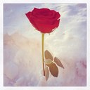 Lora knapp - @knapplora - Twitter