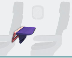 personalpockets's profile picture. Sit down, relax and cover your tray table with your own Personal Pockets.Enjoy a fresh, hygenic cover which creates a clean work space for all traveling needs.