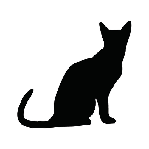 visual artist and arts administrator. used to be a cat and now i'm human.